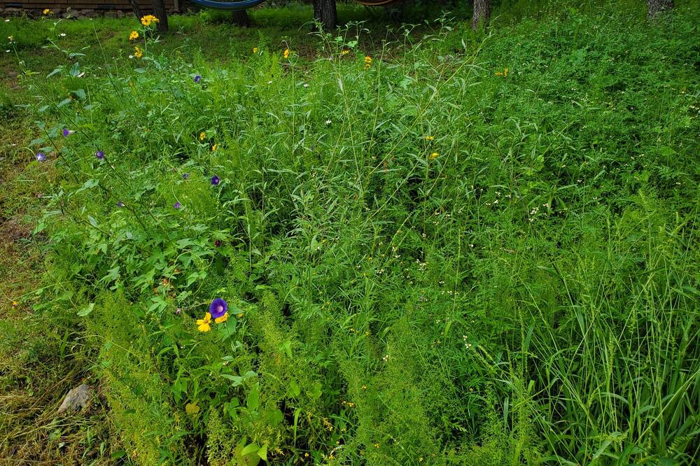 Photo of Outdoor in Magdalena
