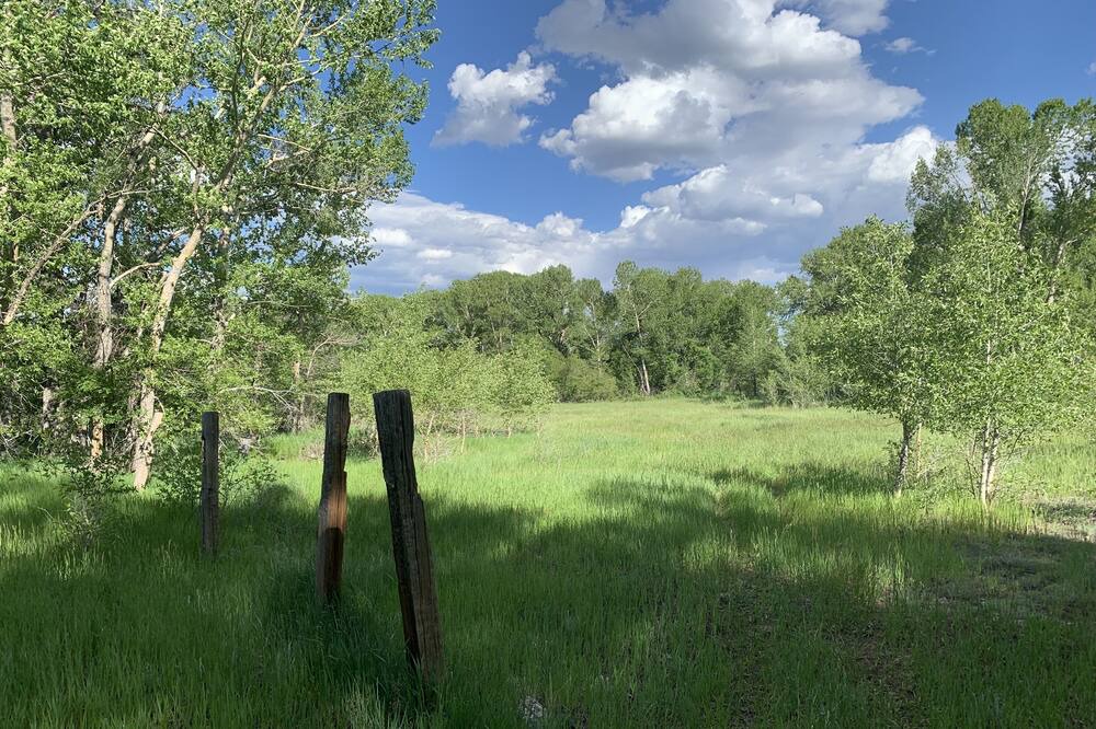 Photo of Others in Westcliffe