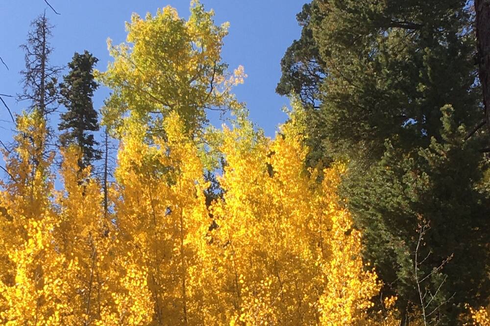 Photo of Others in Westcliffe