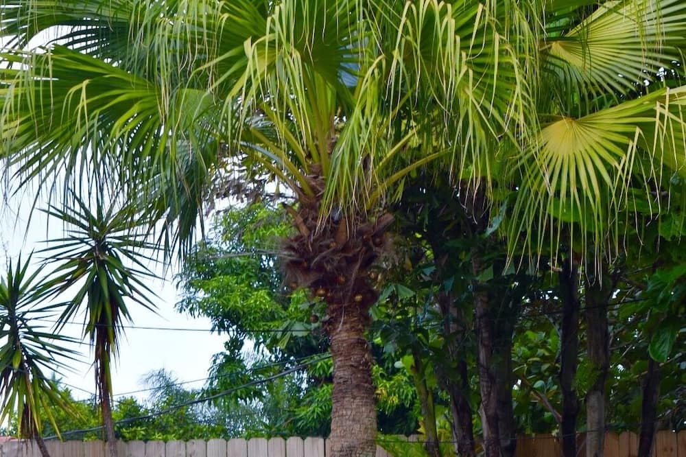 Photo of Outdoor in Deerfield Beach
