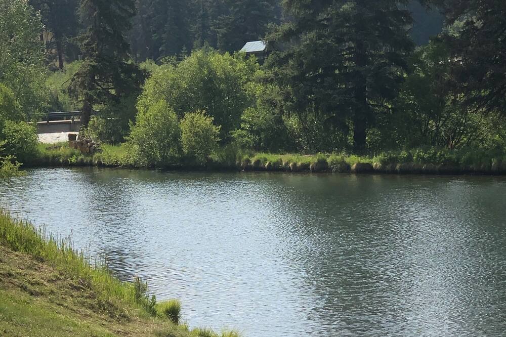 Photo of Others in Bailey