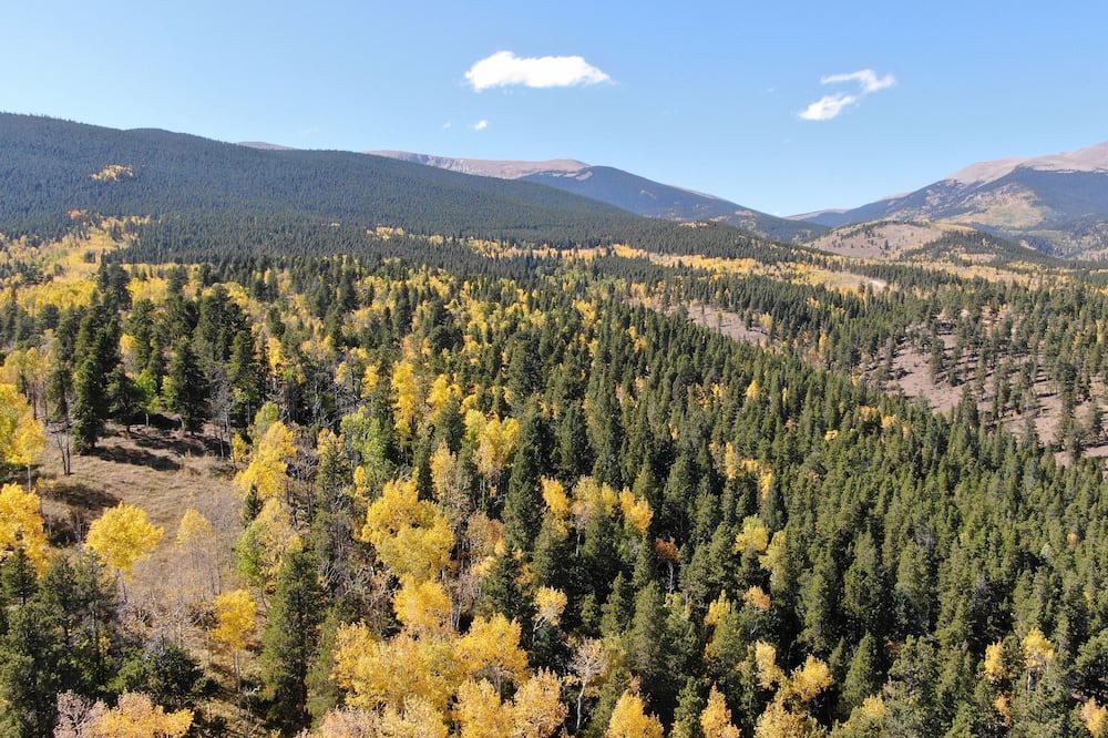 Photo of Outdoor in Bailey