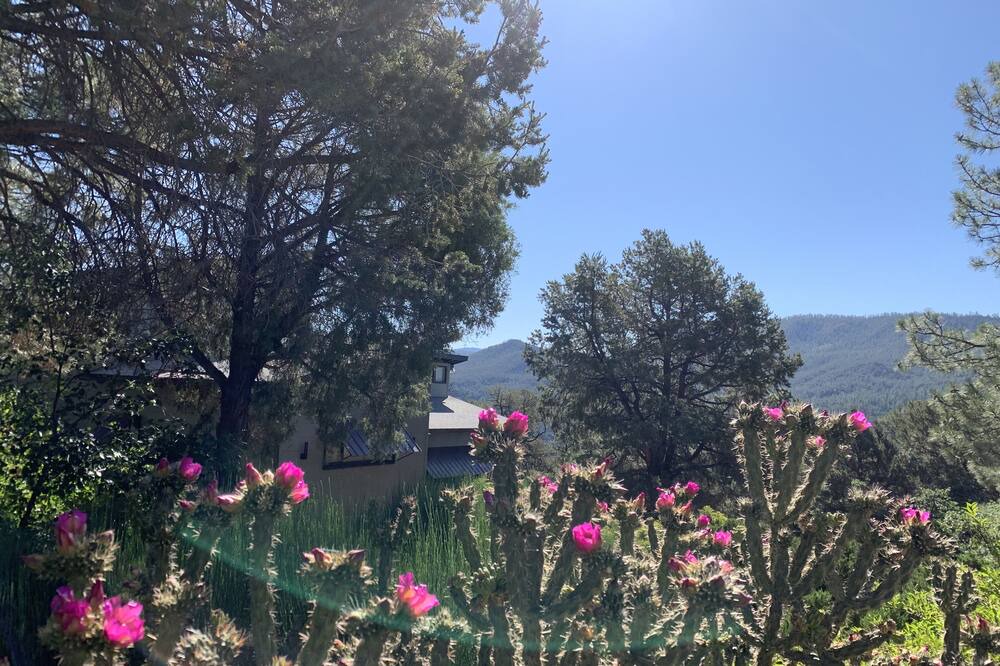Photo of Outdoor in Jemez Springs