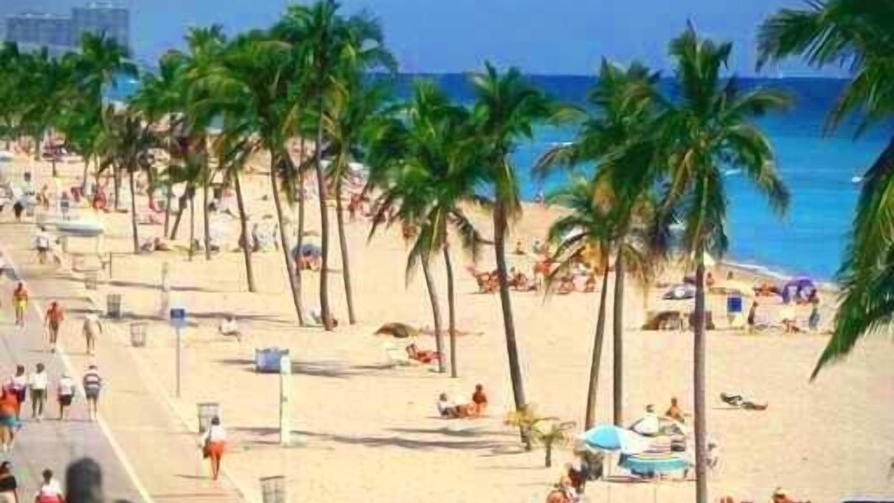 Photo of Others in Royal Poinciana