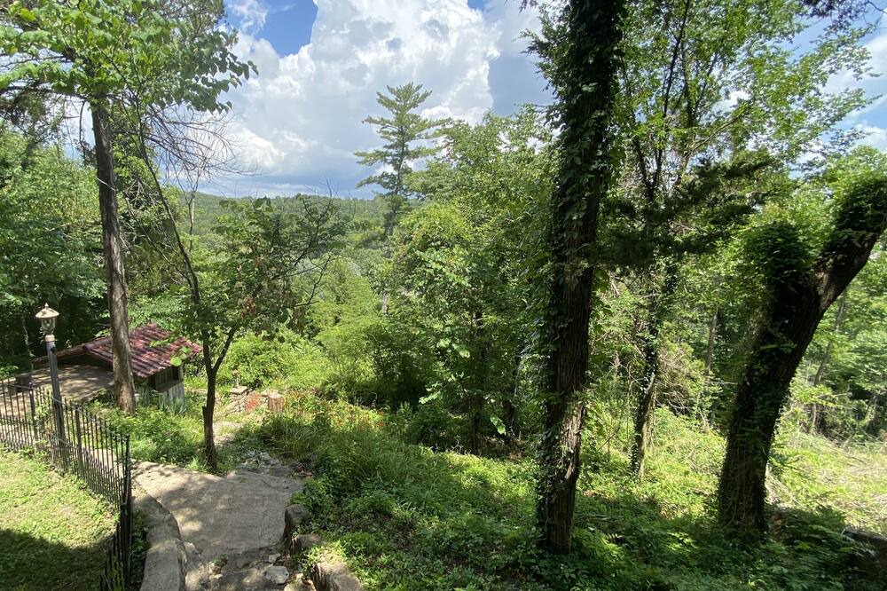 Photo of Others in Branson