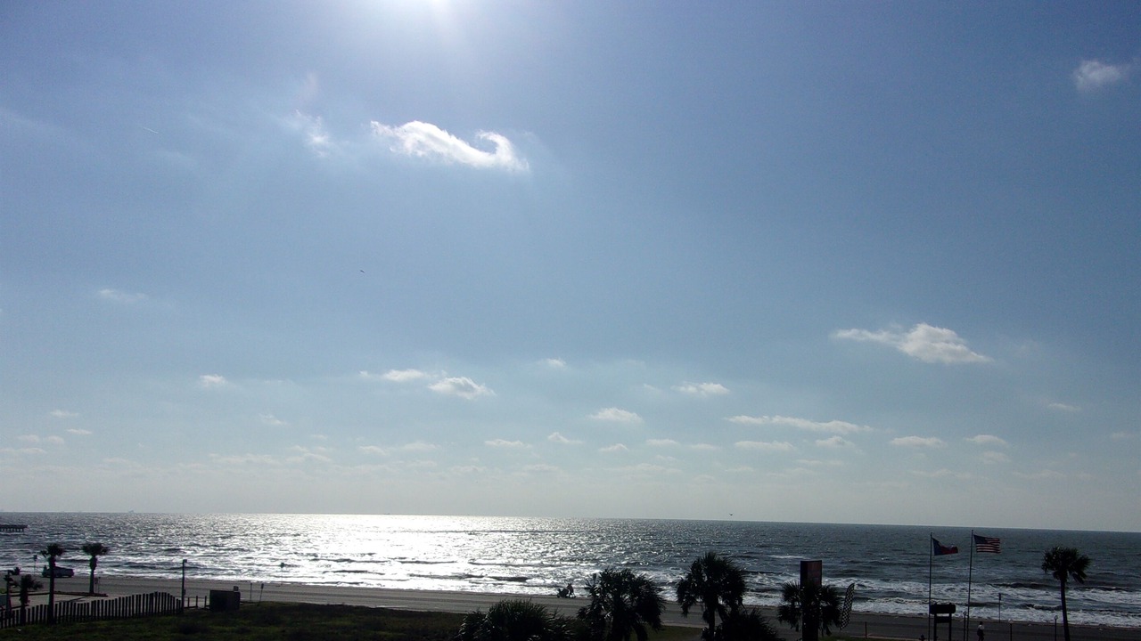 Photo of Others in Galveston