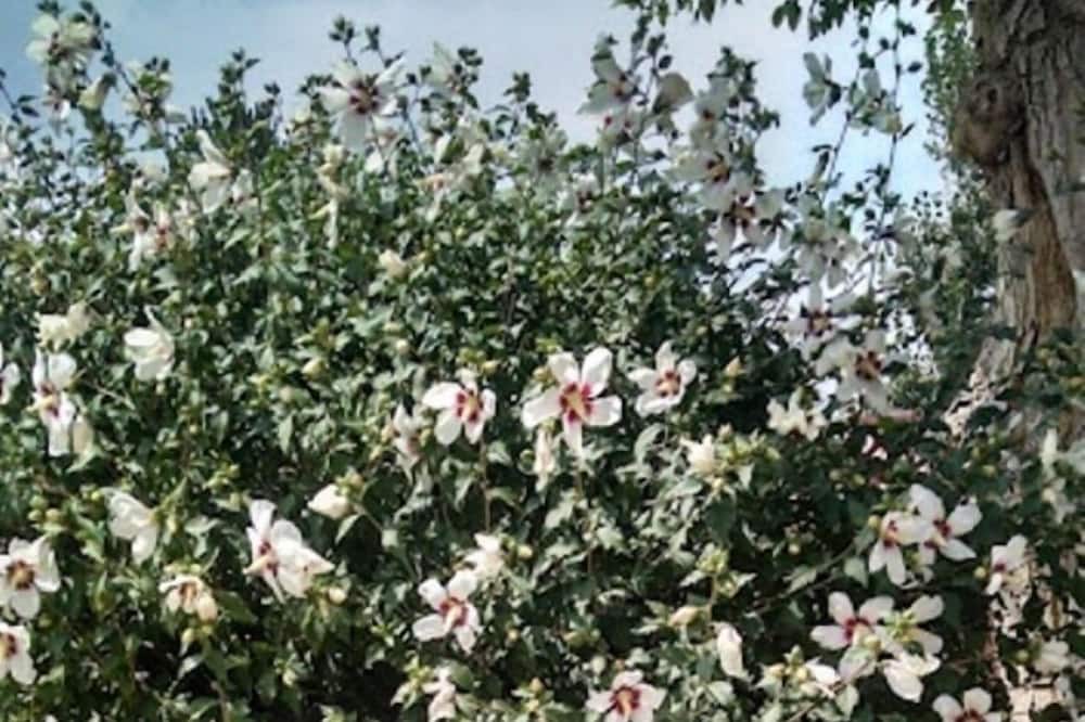 Photo of Outdoor in Trinidad