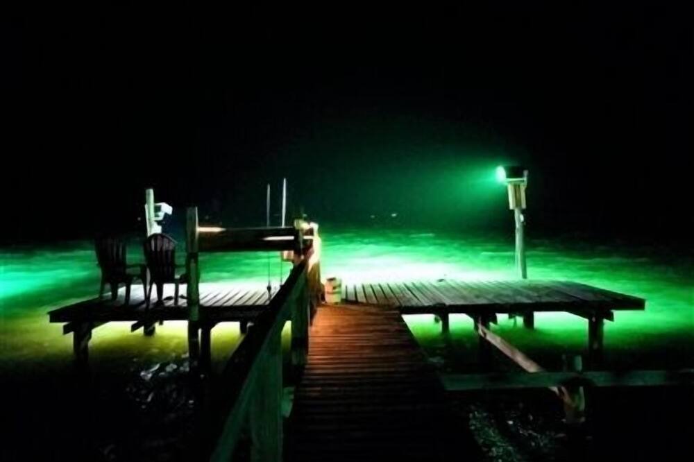 Photo of Others in Port Mansfield