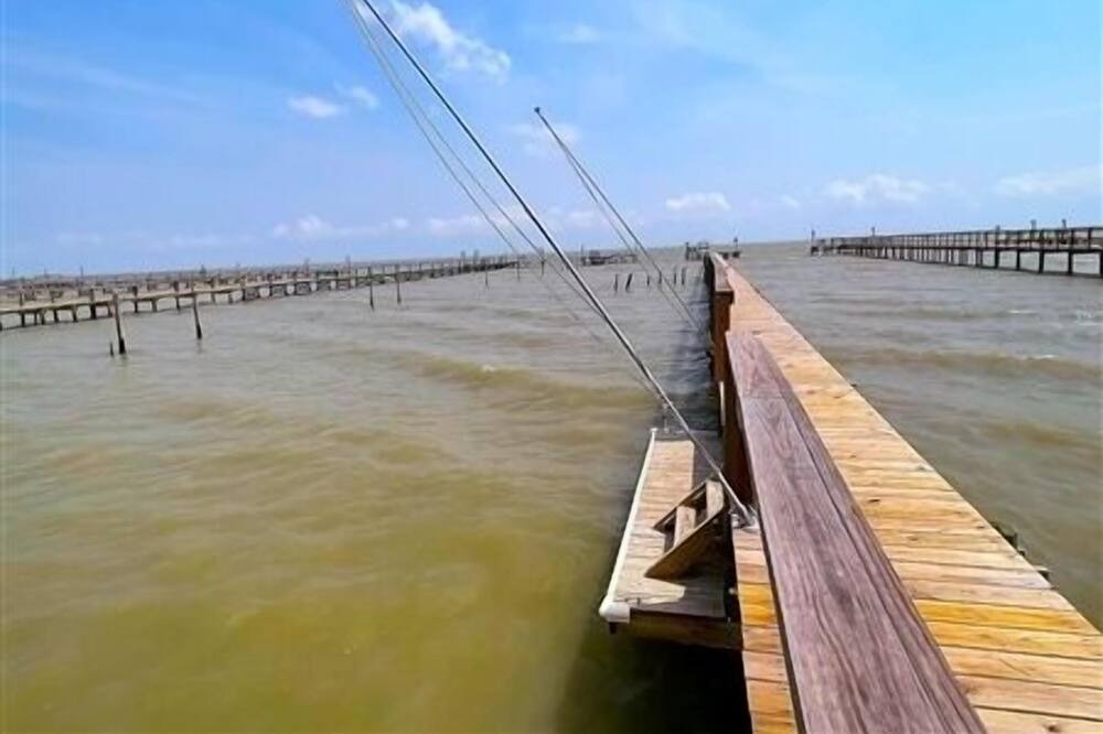 Photo of Others in Port Mansfield