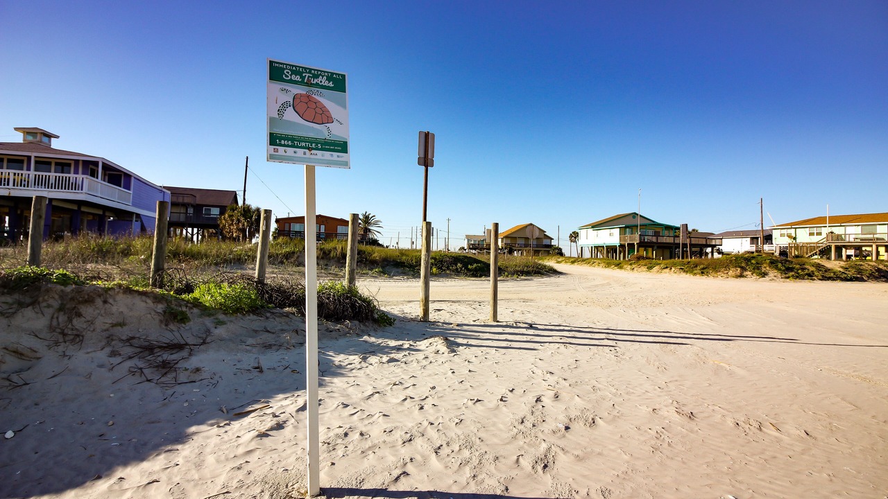 Photo of Others in Bermuda Beach