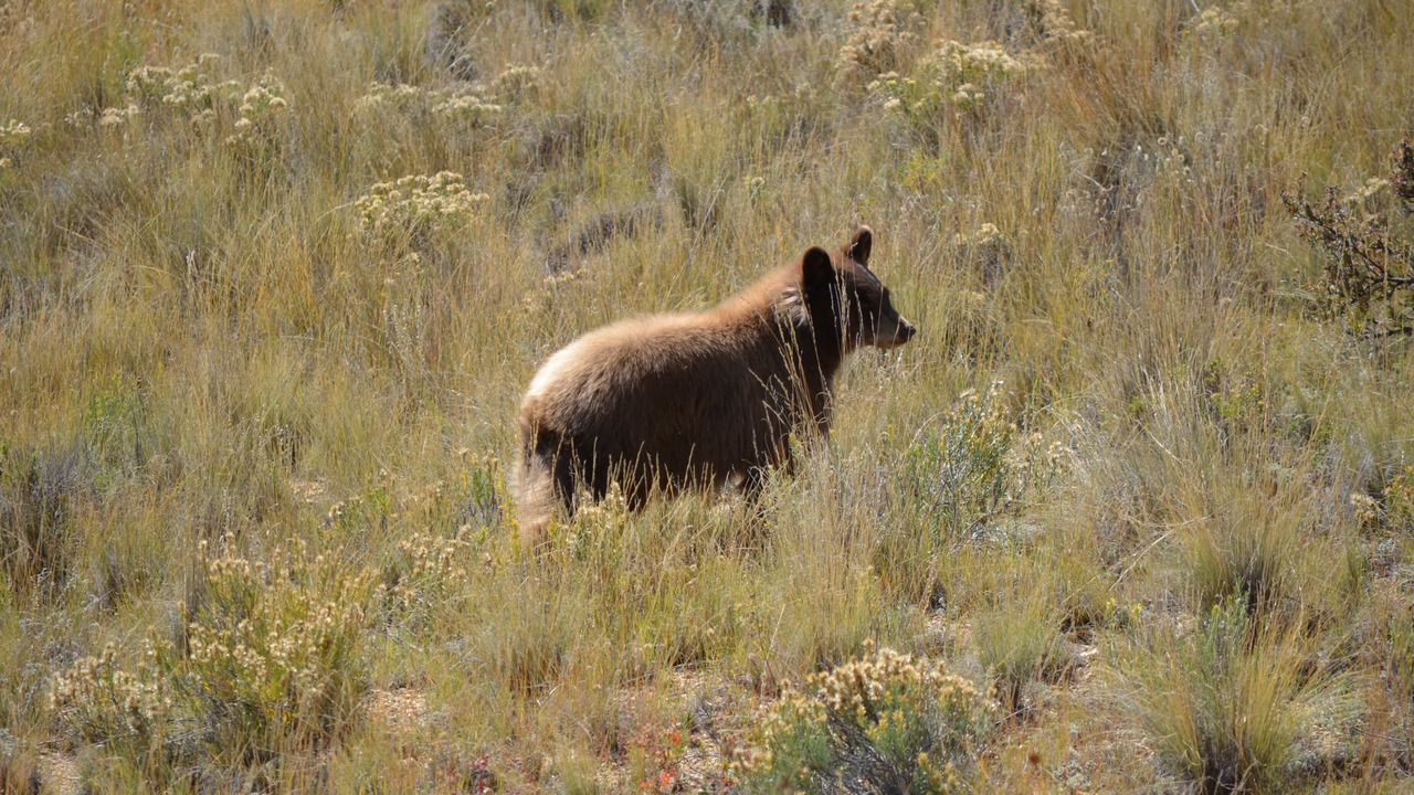 Photo of Outdoor in Indian Mountain