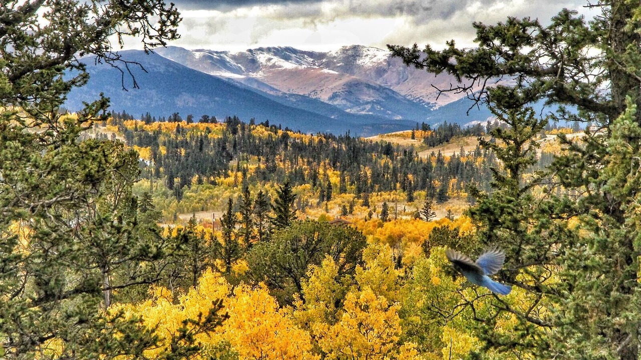 Photo of Outdoor in Indian Mountain