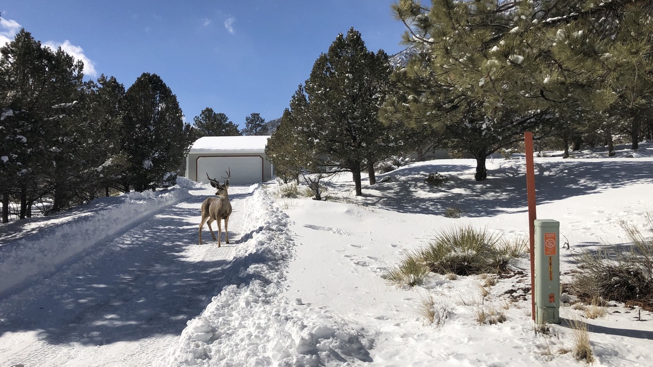 Photo of Others in Nathrop