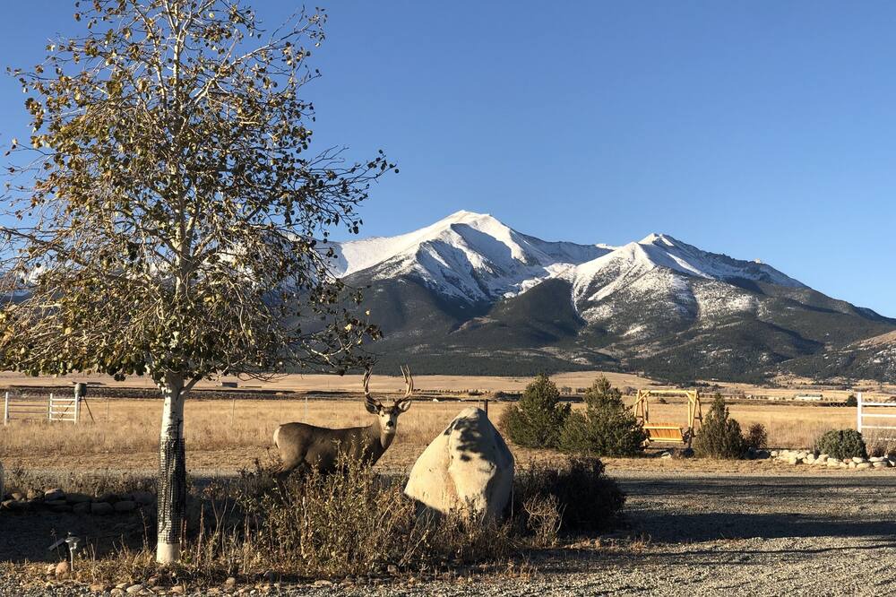 Photo of Outdoor in Buena Vista
