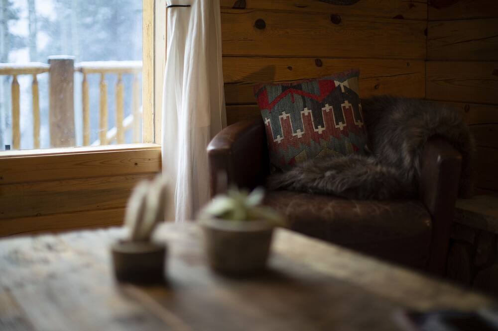 Photo of Livingroom in Twin Lakes