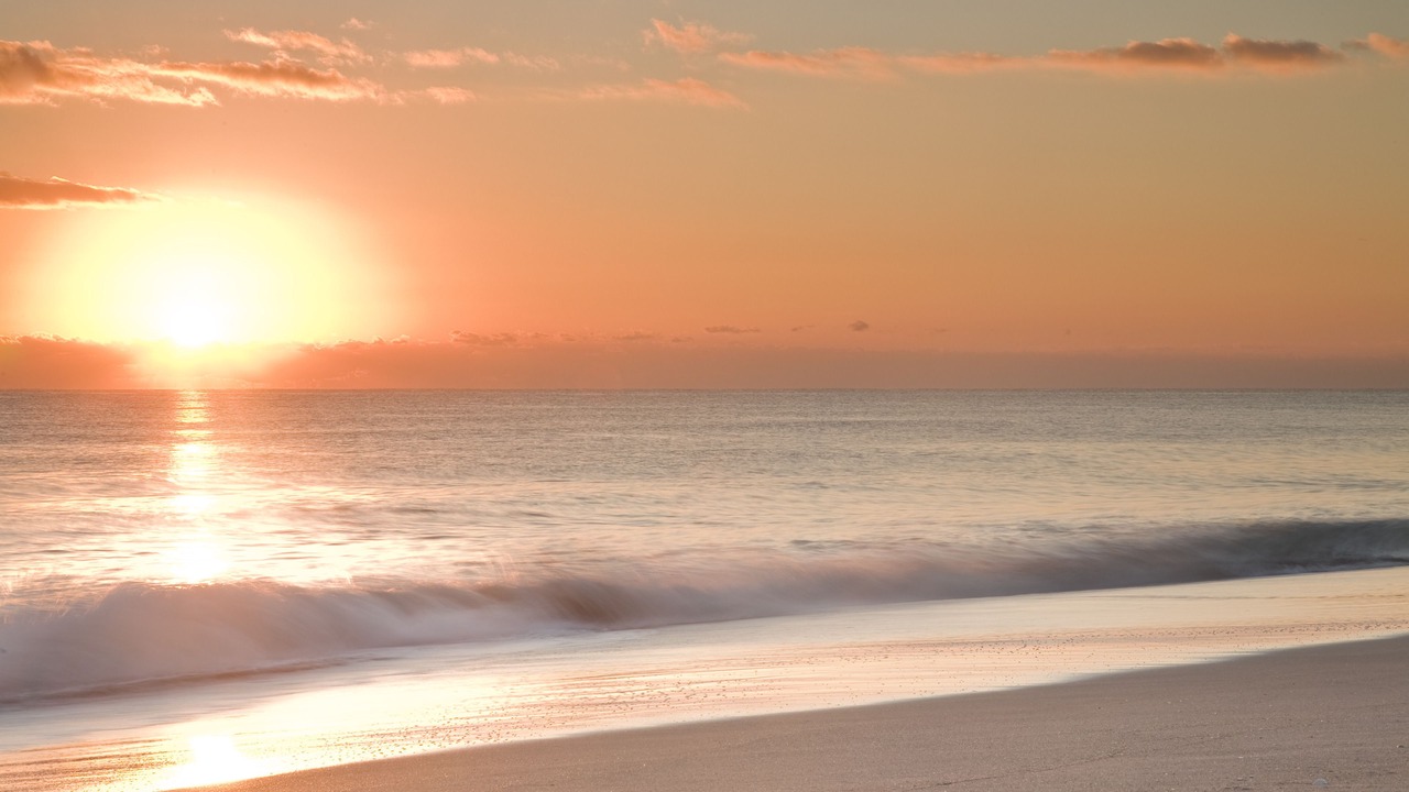 Photo of Others in Melbourne Beach