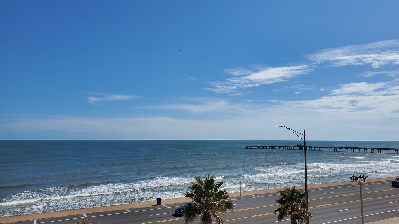 Photo of Others in Galveston