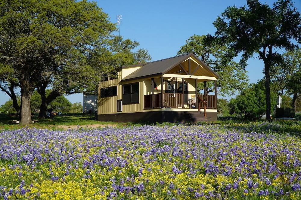 Photo of Outdoor in Kingsland