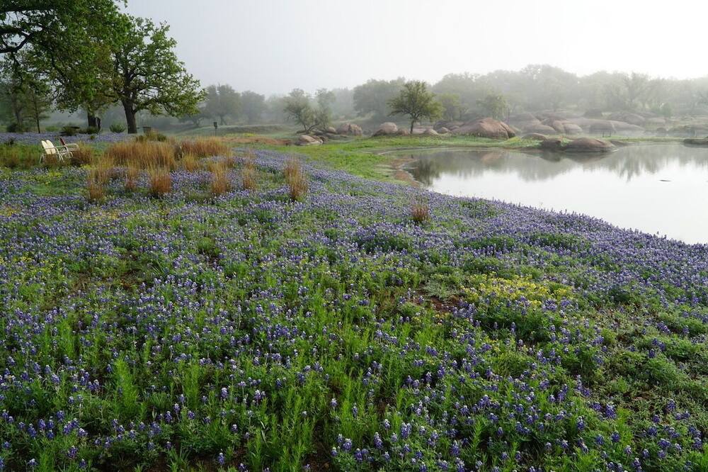 Photo of Outdoor in Kingsland
