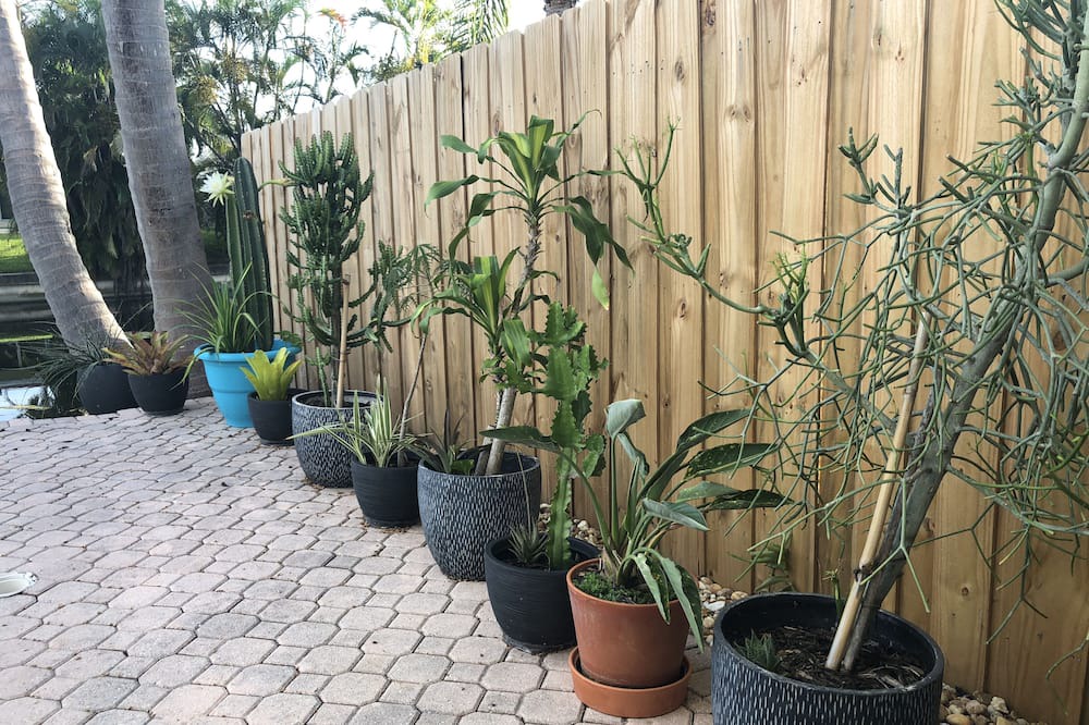 Photo of Outdoor in Fort Lauderdale