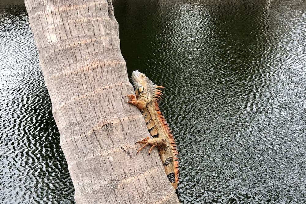 Photo of Others in Fort Lauderdale