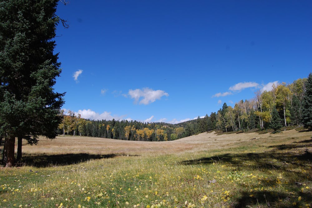 Photo of Outdoor in Amalia