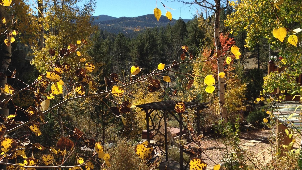 Photo of Outdoor in Westcliffe
