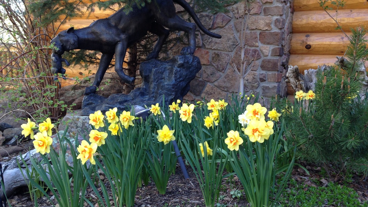 Photo of Outdoor in Westcliffe