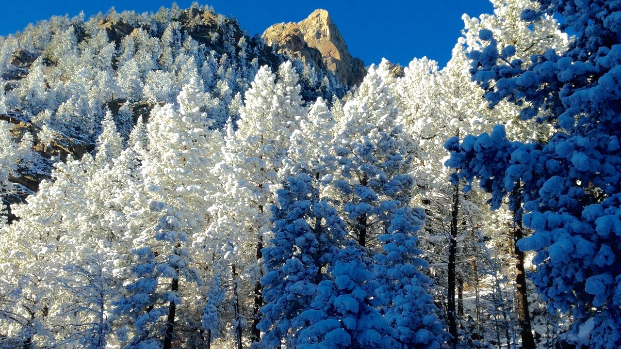 Photo of Others in Westcliffe