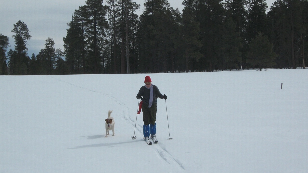 Photo of Others in Magdalena