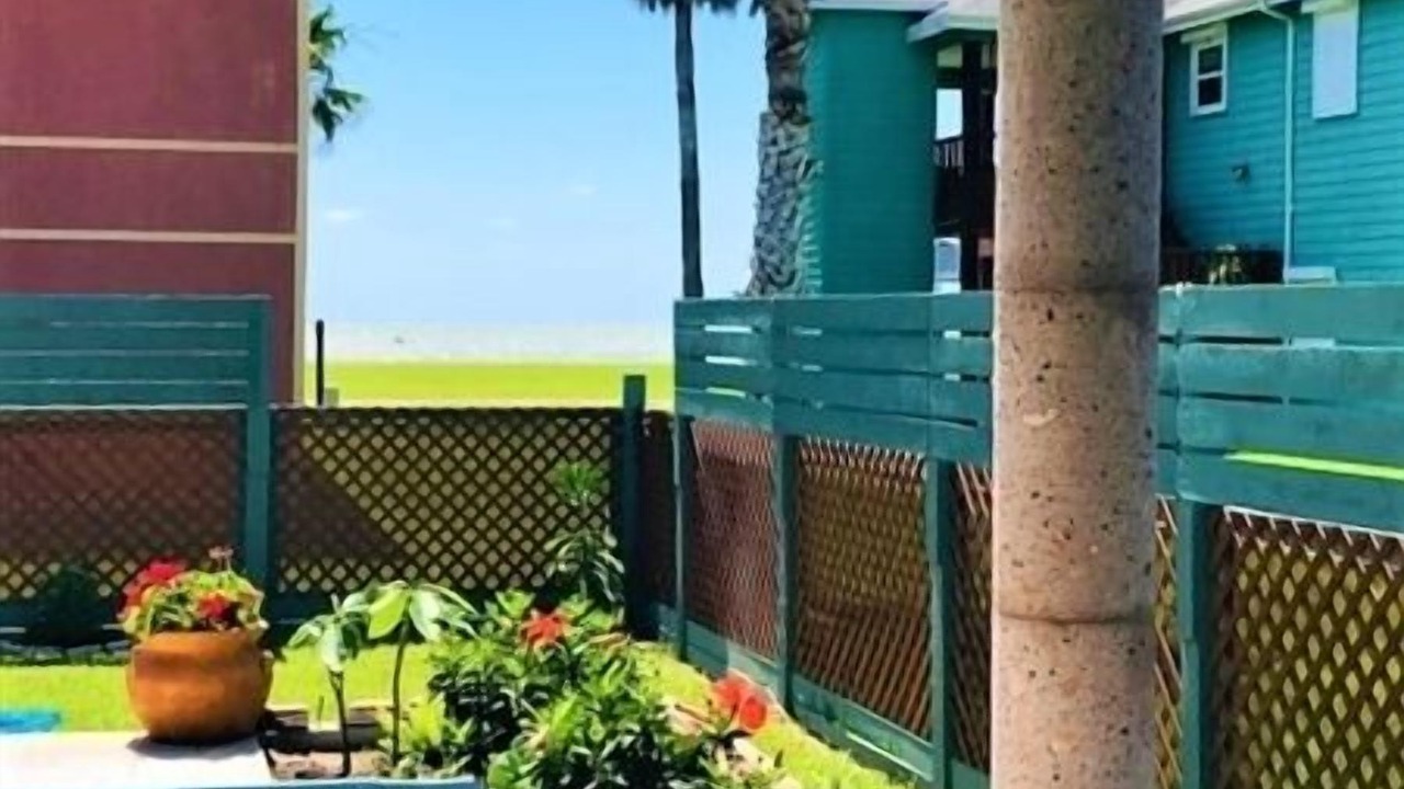 Photo of Outdoor in Port Mansfield