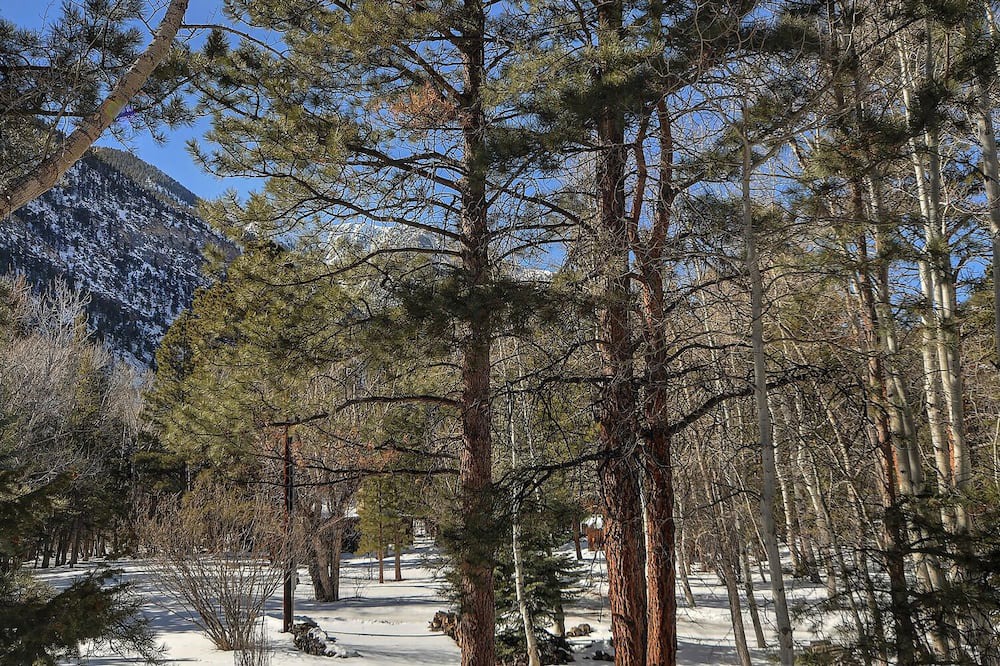 Photo of Outdoor in Nathrop