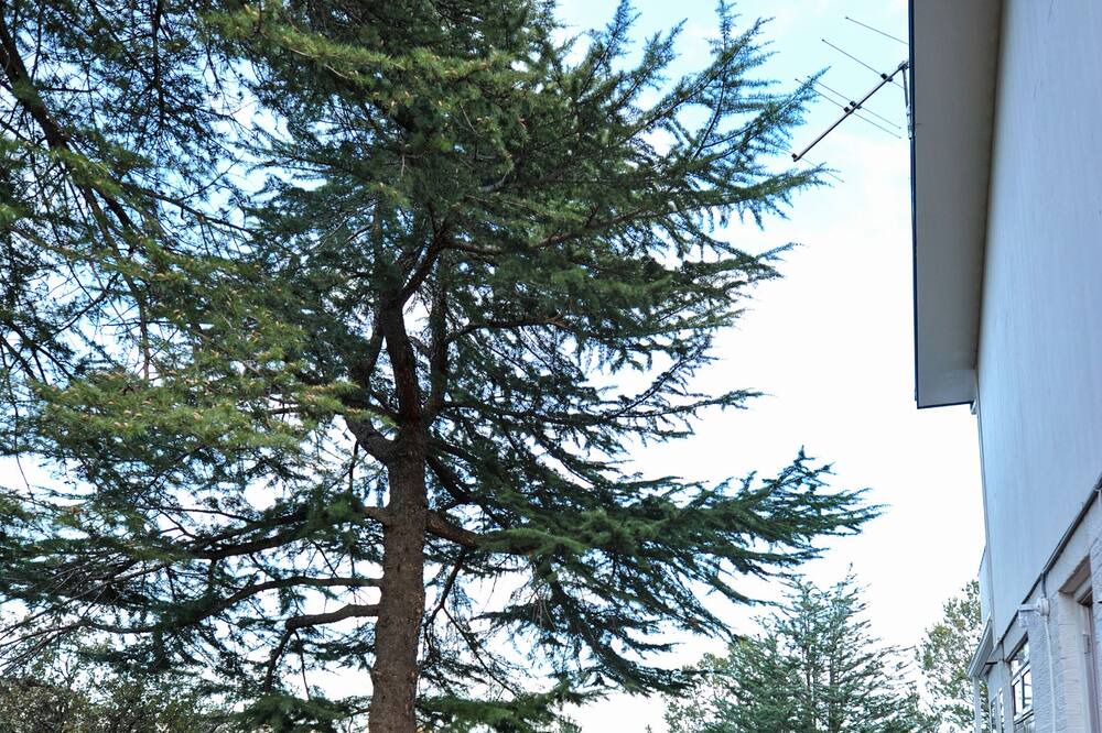 Photo of Others in Tyrone