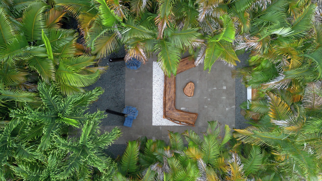 Photo of Outdoor in Plantation