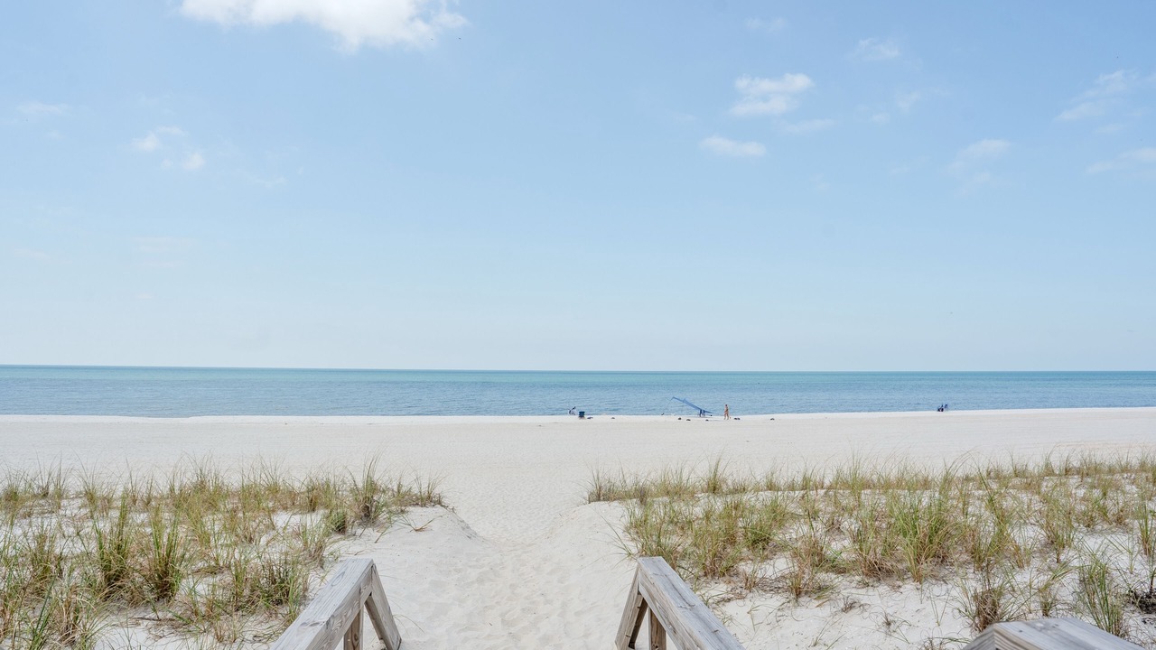 Photo of Outdoor in Mexico Beach