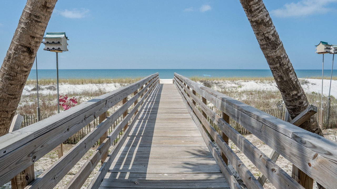 Photo of Outdoor in Mexico Beach