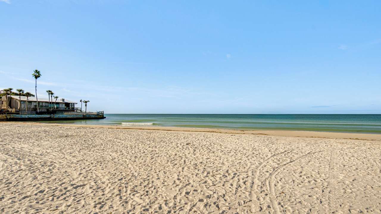 Photo of Others in Siesta Key