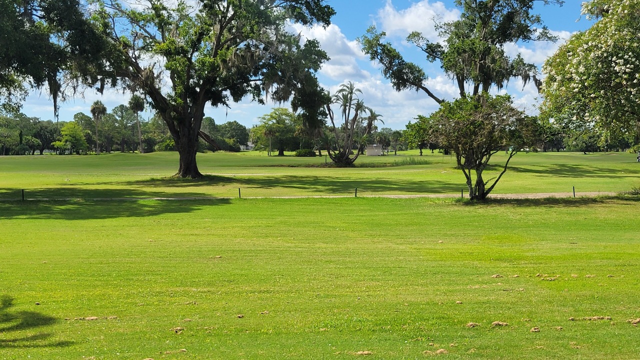 Photo of Others in Crystal River