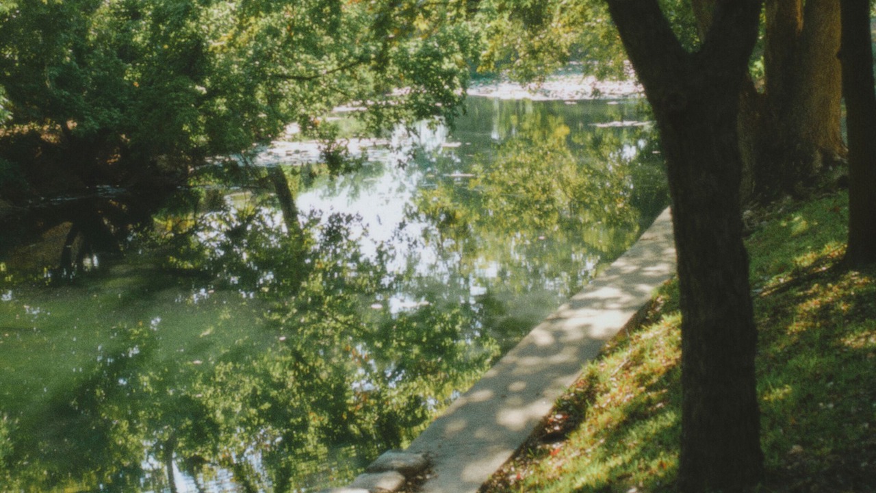 Photo of Others in New Braunfels