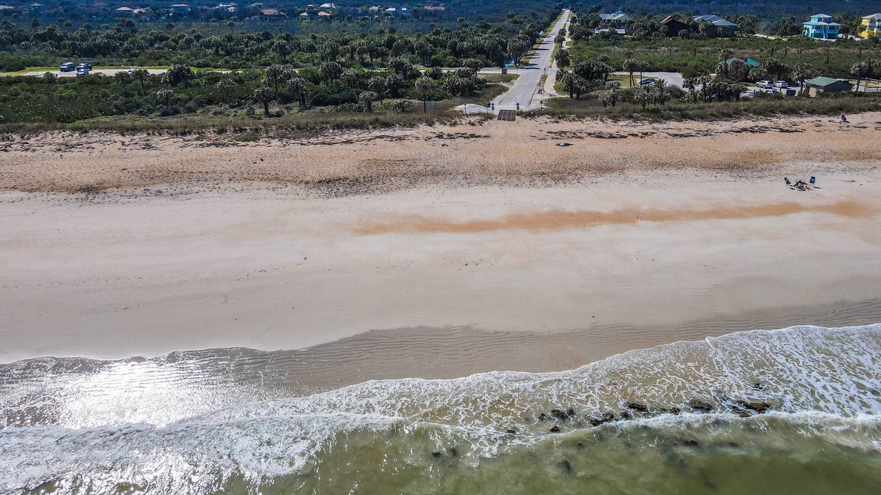Photo of Others in Palm Coast