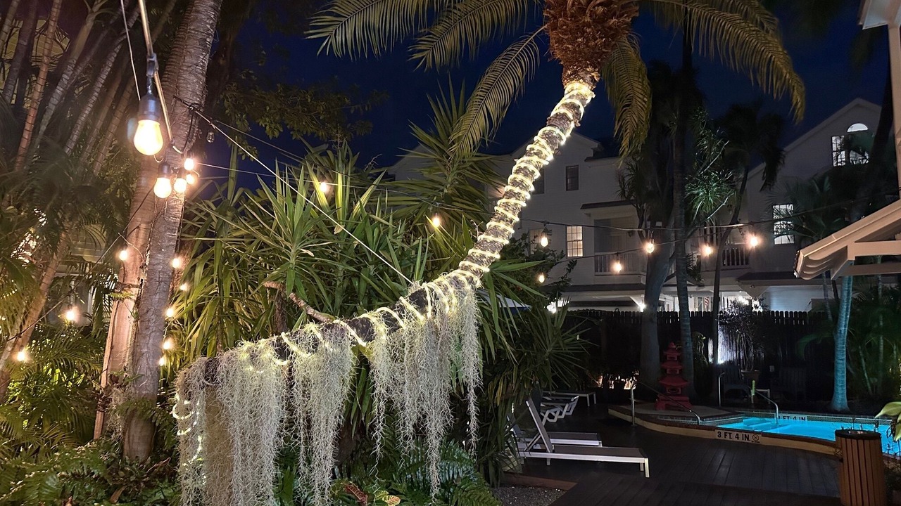 Photo of Outdoor in Uptown - Upper Duval