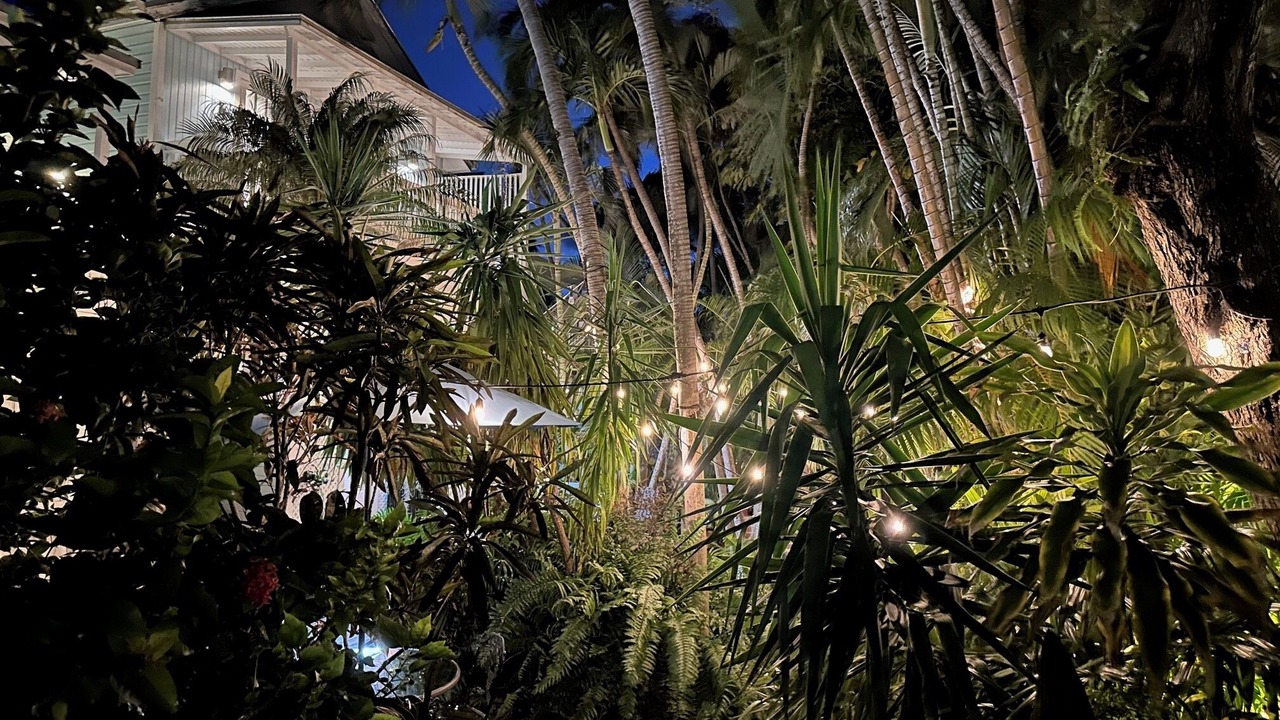 Photo of Outdoor in Uptown - Upper Duval