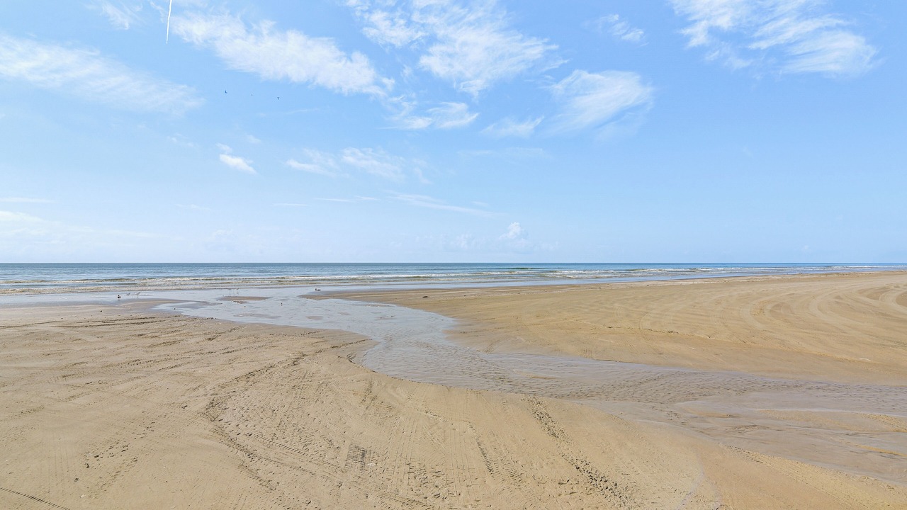 Photo of Others in Jamaica Beach