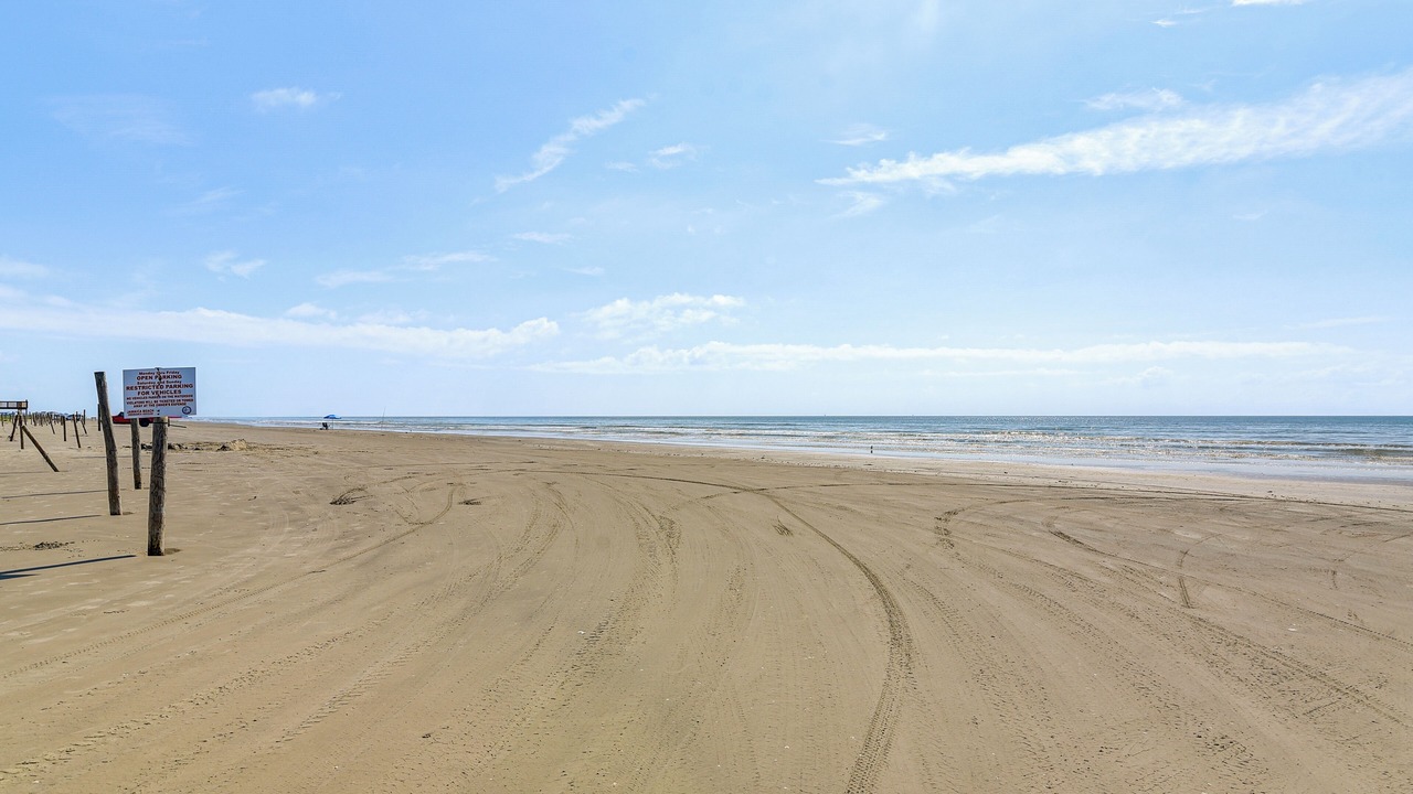 Photo of Others in Jamaica Beach