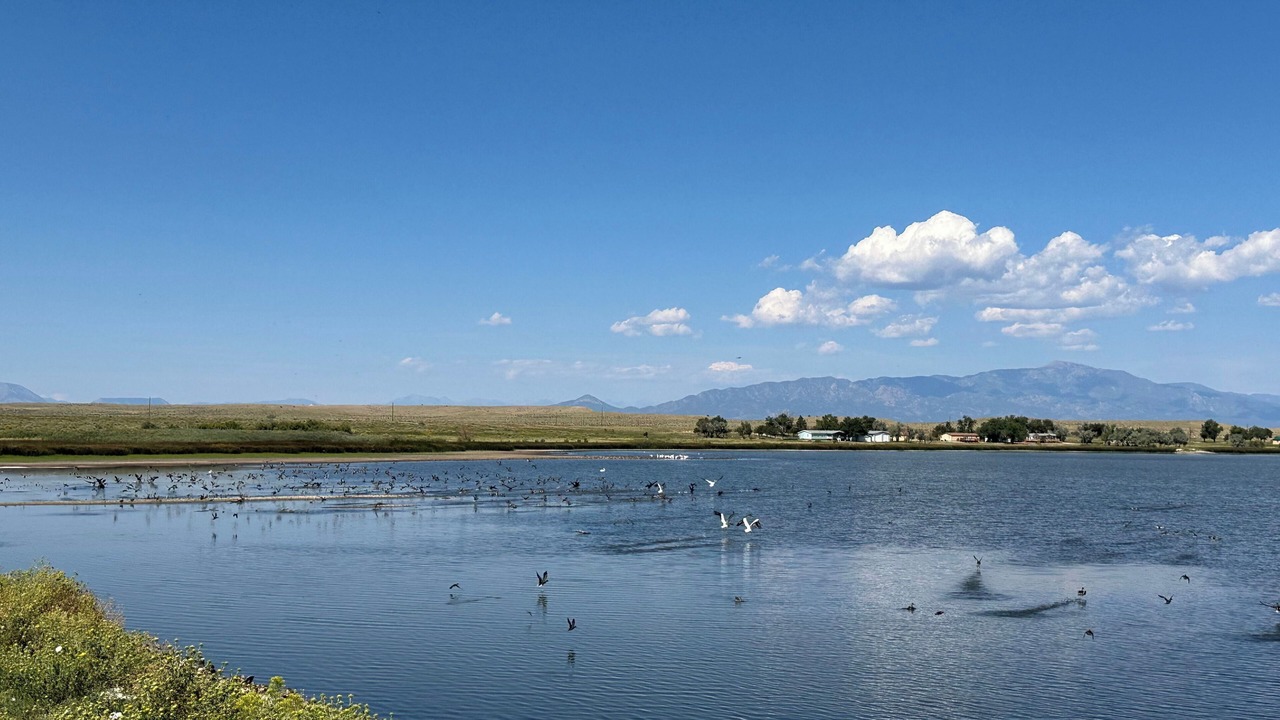 Photo of Others in Walsenburg