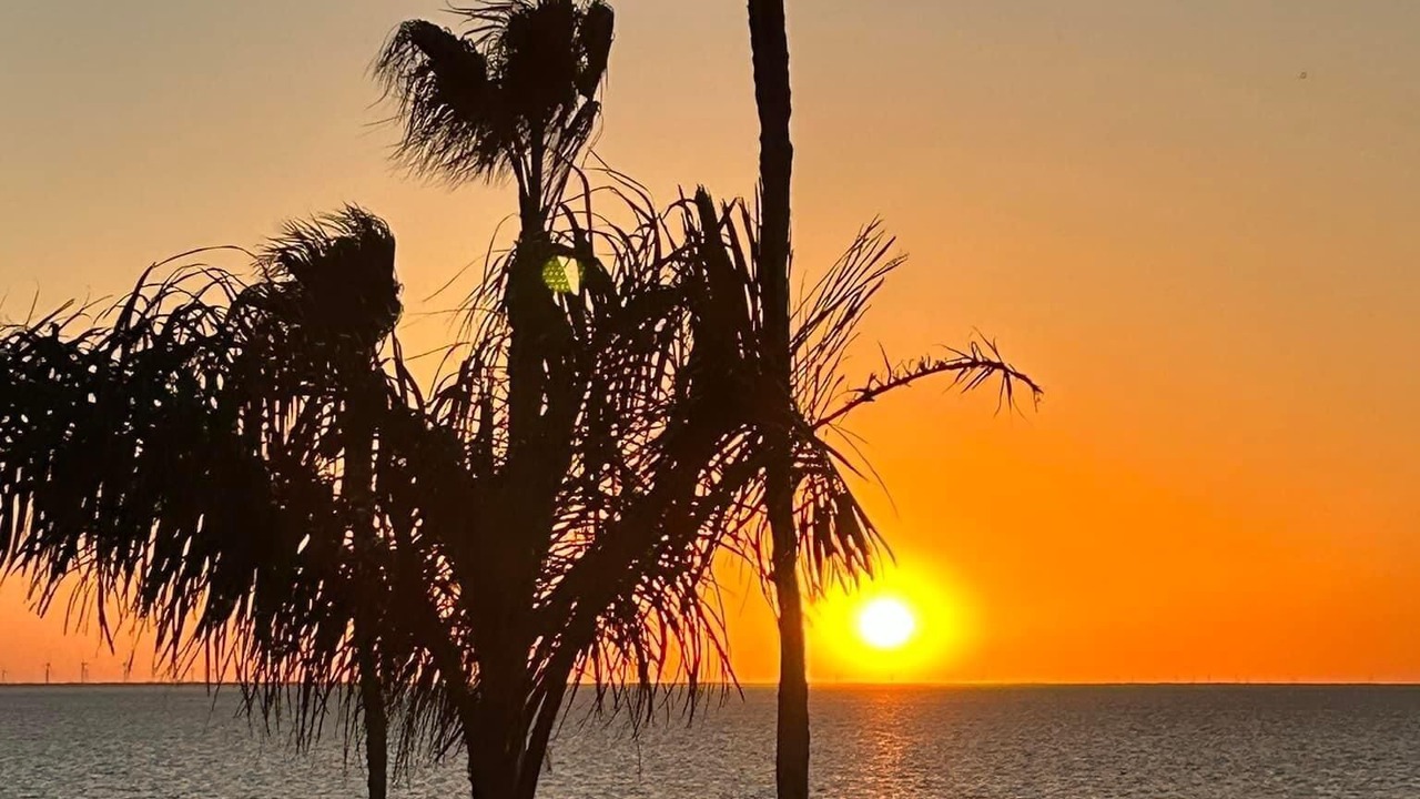 Photo of Others in South Padre Island