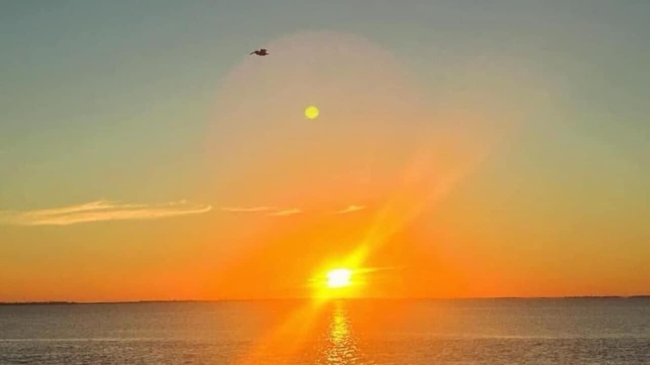 Photo of Others in South Padre Island