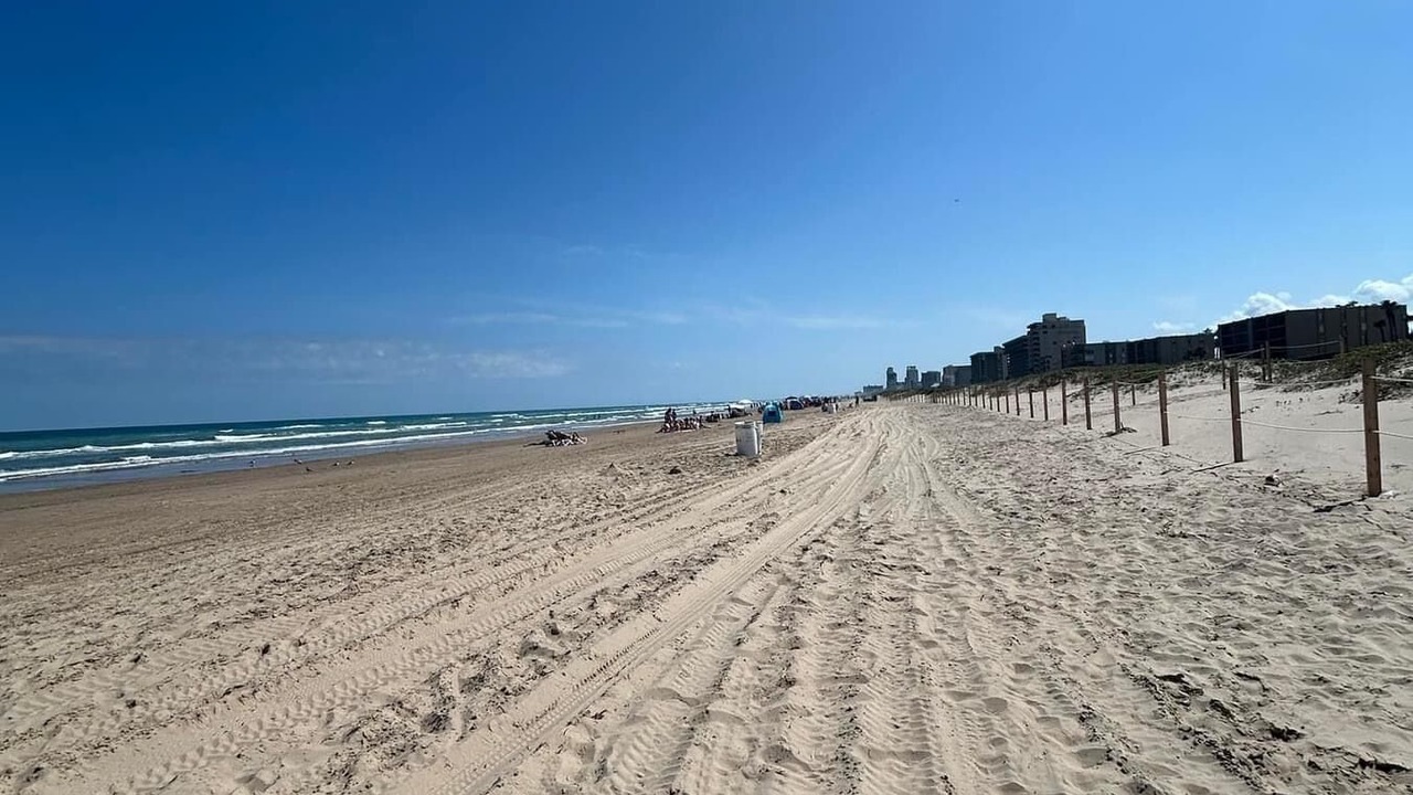 Photo of Others in South Padre Island