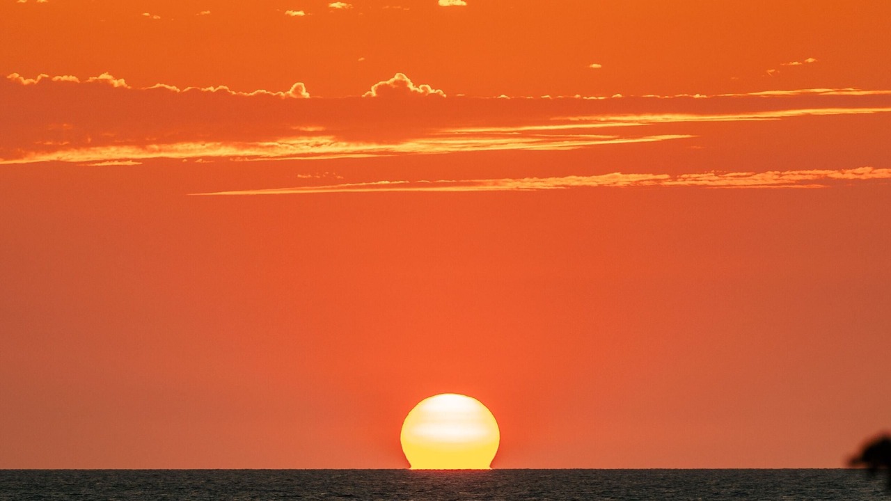 Photo of Others in South Padre Island