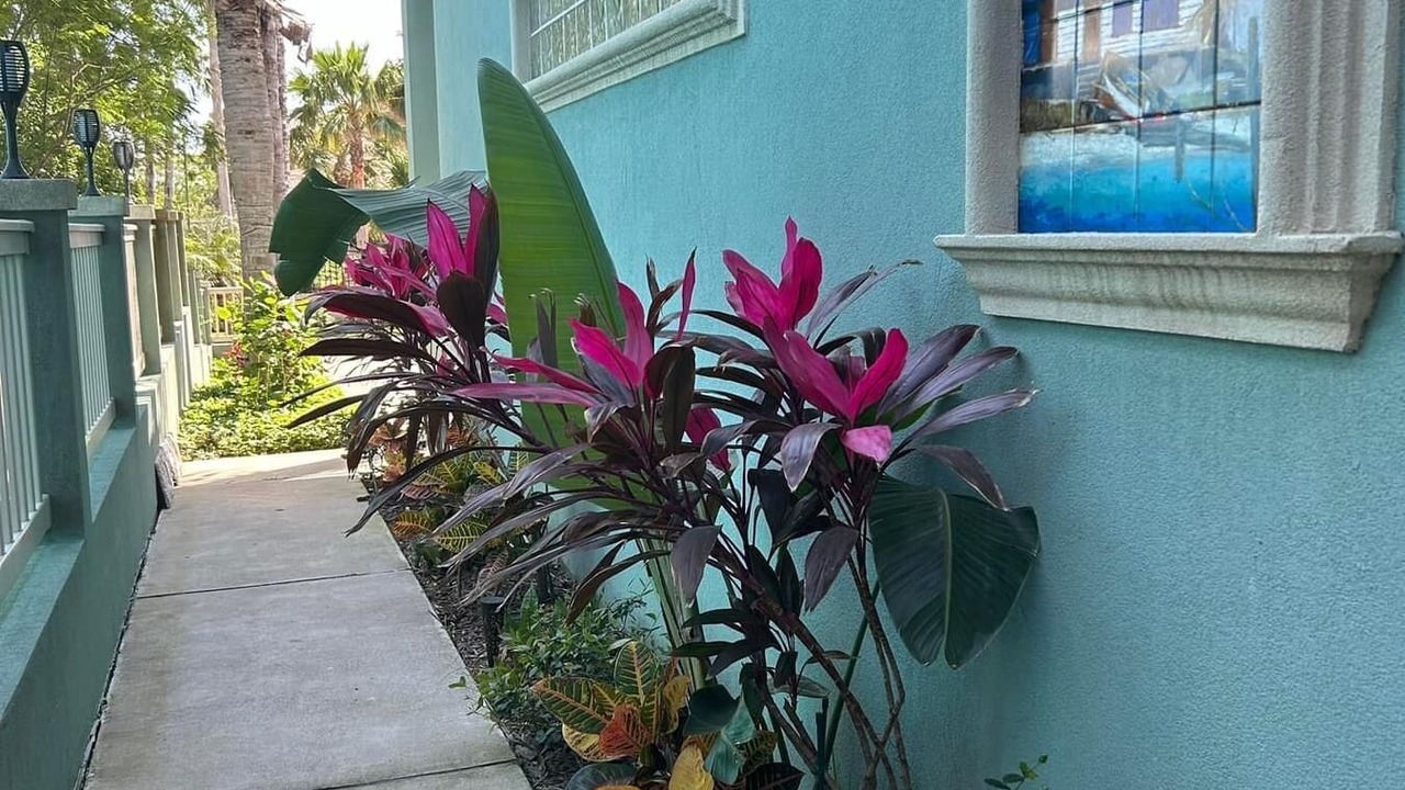 Photo of Outdoor in South Padre Island